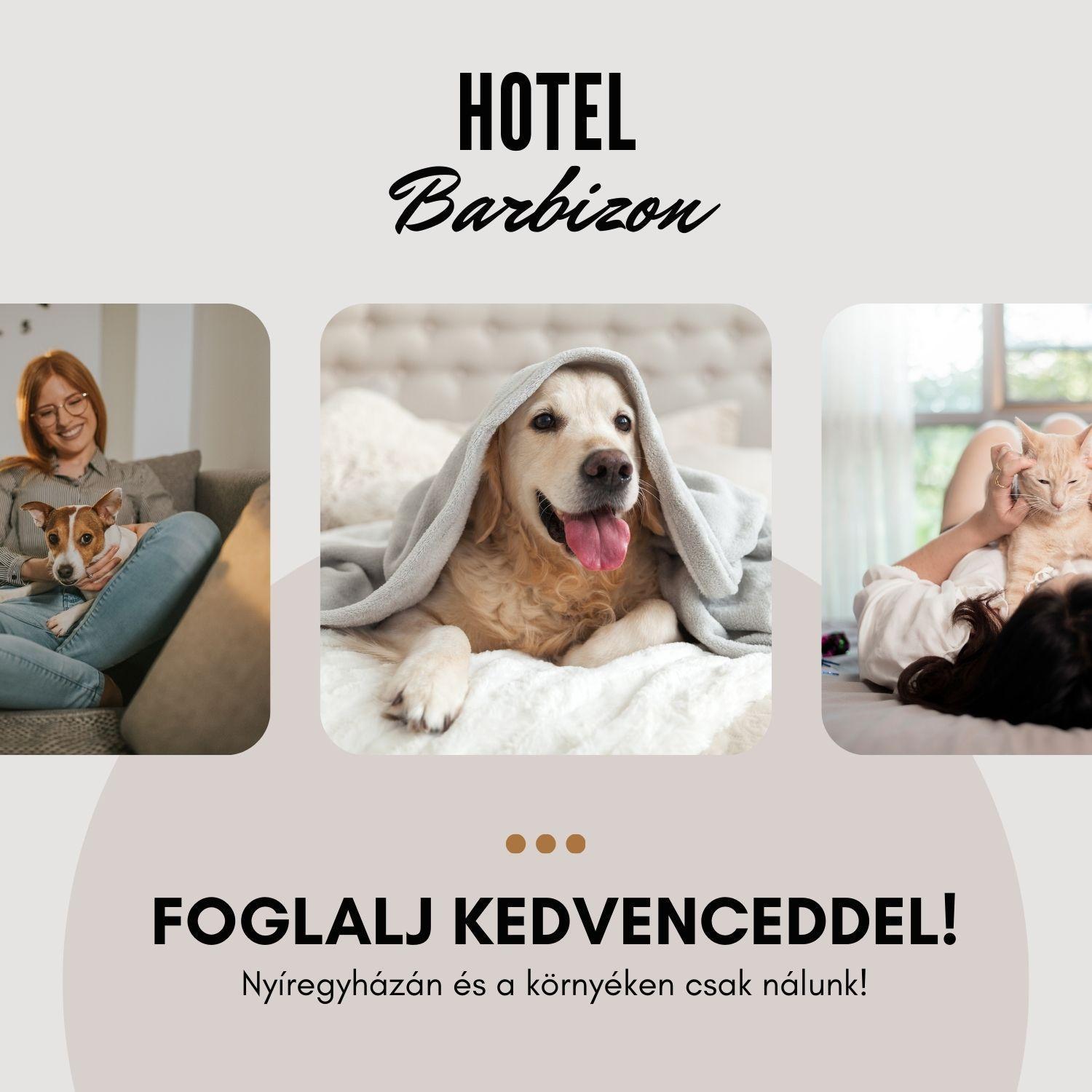 Hotel Barbizon Nyíregyháza Eksteriør bilde